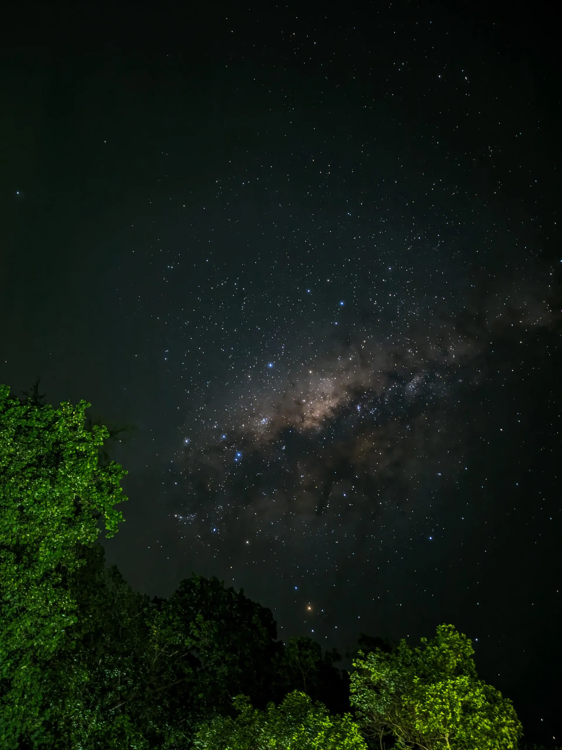 WhatsApp Image 2024 07 21 at 13.11.10